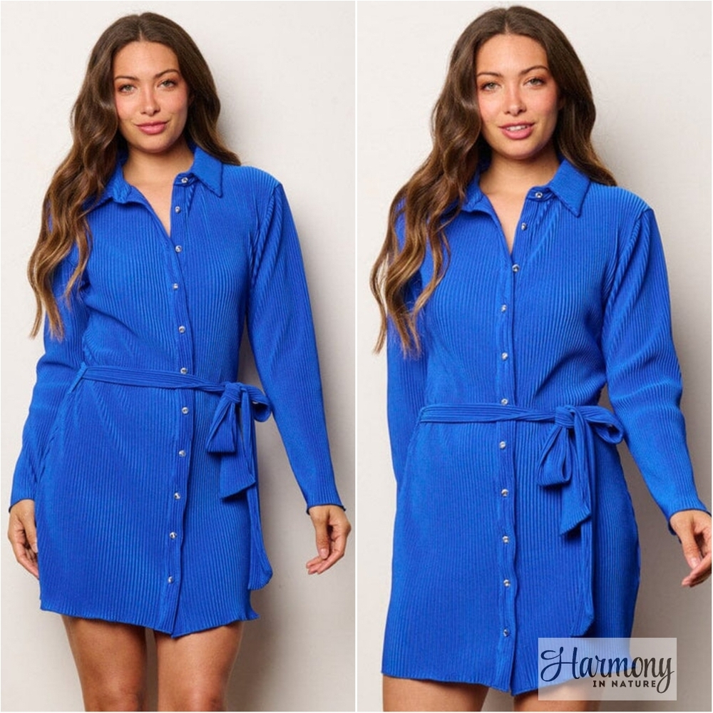 Blue Reign Bodycon Dress